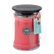 Bridgewater Candle Company - Candle - 18oz Large Jar - Melon Pop