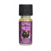 Bridgewater Candle Company - Home Fragrance Oil - Kiss in the Rain
