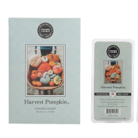Bridgewater Candle Company - Bundel - Harvest Pumpkin 